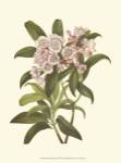 Garden Potpourri I