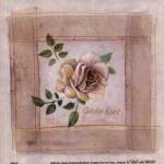 Garden Rose by Lanie Loreth