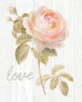 Garden Rose on Wood Love by Danhui Nai