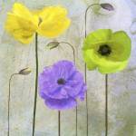 Garden Shimmer II by Color Bakery