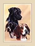 Gary Ampel - Dog Collage II Size 8x10 by Gary Ampel