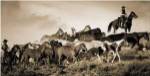 Gathering the Herd by Wendy Caro