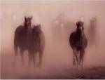 Ghost Horses by Gary Crandall