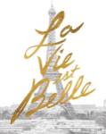 Gilded Paris by Moira Hershey