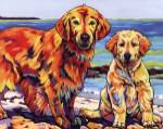 Ginger & Polar by Sally Evans