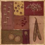 Give Thanks by Stephanie Marrott