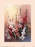 Gladiola by T.C. Chiu