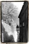 Glimpses of Prague II by Laura Denardo