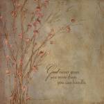 God Never Gives by Stephanie Marrott