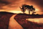 Going Forward by M. Ellen Cocose
