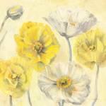 Gold and White Contemporary Poppies II by Carol Rowan