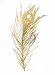 Gold Foil Feather I - Metallic Foil by Vision Studios