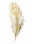 Gold Foil Feather II - Metallic Foil by Vision Studios