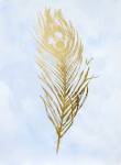 Gold Foil Feather II on Blue - Metallic Foil by Vision Studios