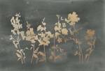 Gold Foil Flower Field on Black - Metallic Foil by Vision Studios