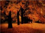 Gold Of Autumn East by M. Ellen Cocose