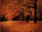 Gold of Autumn West by M. Ellen Cocose