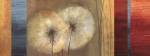 Golden Dandelions by Asia Jensen