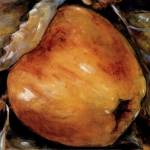 Golden Delicious by Nicole Etienne