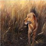 Golden Grass by Leo Stans