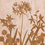 Golden Reflections I by T.L. Lange