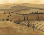 Golden Tuscany Afternoon II by Kris Taylor