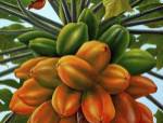 Good Crop by Eduardo Camoes