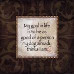 Good Person by Stephanie Marrott