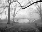 Gothic Bridge, Cental Park, NYC by Henri Silberman