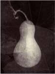 Gourd I by Elena Ray