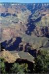 Grand Canyon National Park  Arizona USA