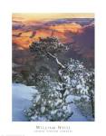 Grand Canyon Sunrise by William Neill