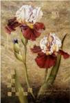 Grand Irises by Meng