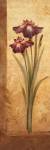Grandiflora I by Pamela Gladding