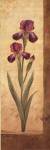 Grandiflora II by Pamela Gladding