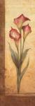 Grandiflora III by Pamela Gladding