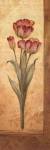 Grandiflora IV by Pamela Gladding