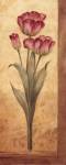 Grandiflora IV - mini by Pamela Gladding