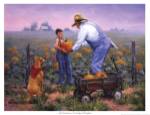 Grandpas Pumpkins by Jack Sorensen