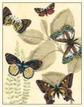 Graphic Butterflies in Nature I by Megan Meagher