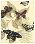 Graphic Butterflies in Nature II by Megan Meagher