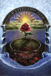 Grateful Dead - Rose