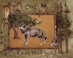 Gray Wolf by Anita Phillips