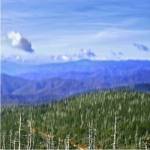 Great Smoky Mountains