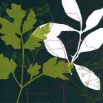 Green Leaf Shadow by Alex Katrine