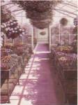 Greenhouse Effect by Oliver Clare