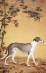 Greyhound by Bamboo