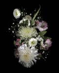 Groc. Store - Winter White by Susan Barmon