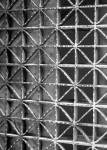 Ground Beneath I by Jairo Rodriguez