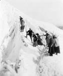 Group of men and women climbing Paradise Glacier in Mt. Rainier National Park, Washington